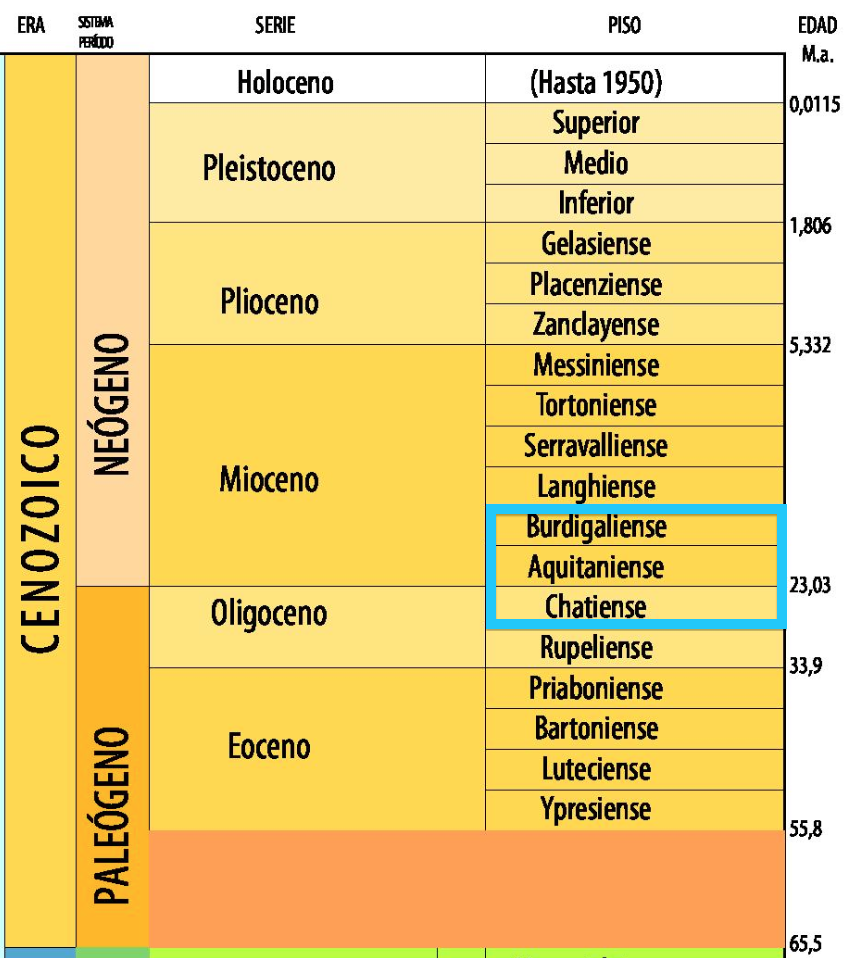 cuenca de antepais de Zagros: FORMACION ASMARI
