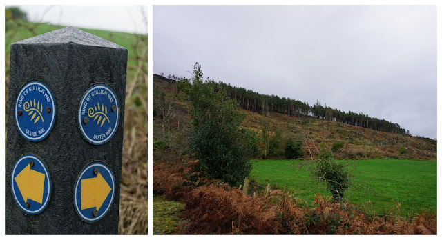 Ring of Gullion walk 2  Slieve Gullion- Carrie Gault 2019