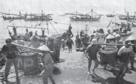 Aktivitas Penduduk Di Daerah Pantai Dataran Rendah Dan Dataran Tinggi Pegunungan Berpengetahuan