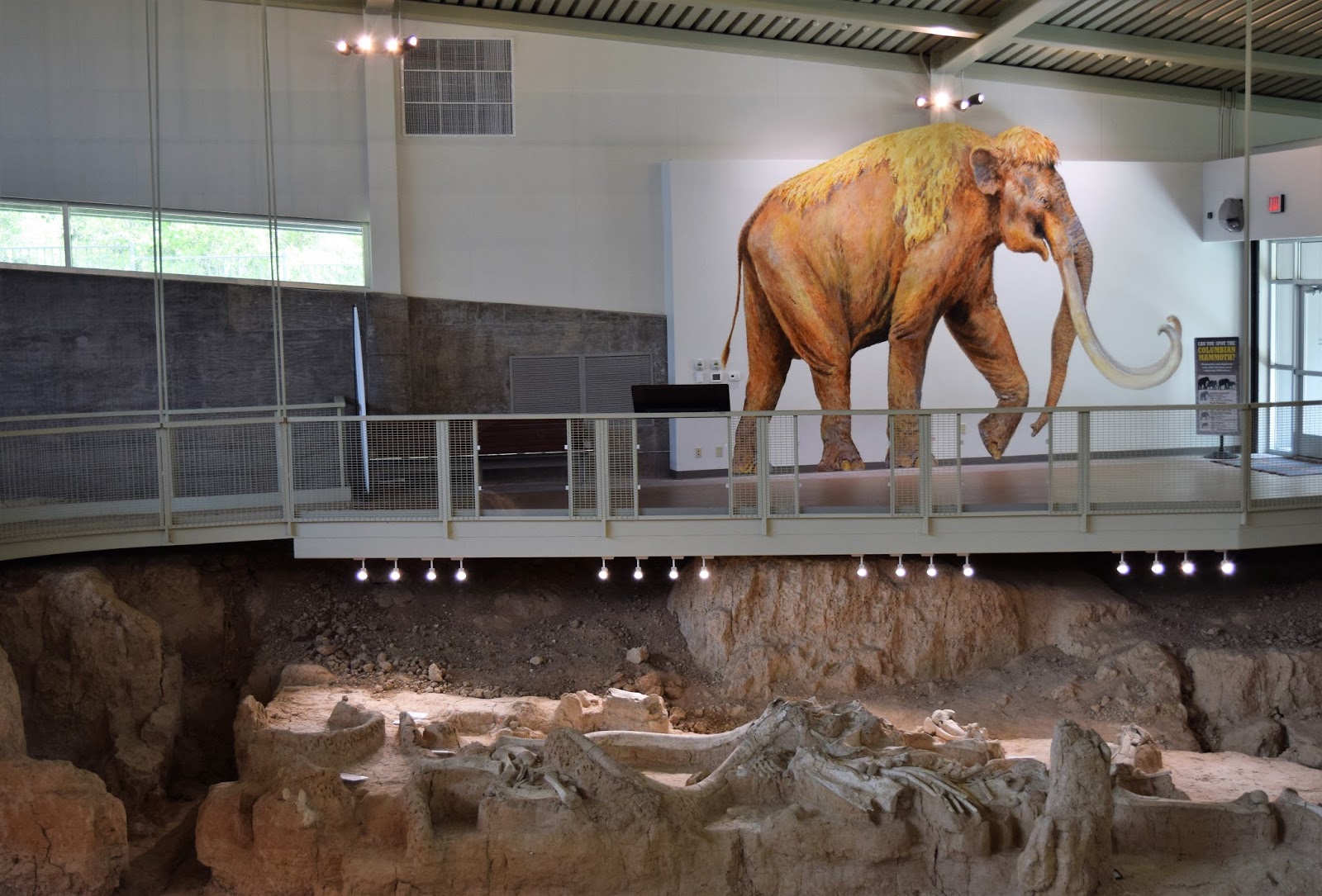 HappiLeeRVing Waco Mammoth National Monument