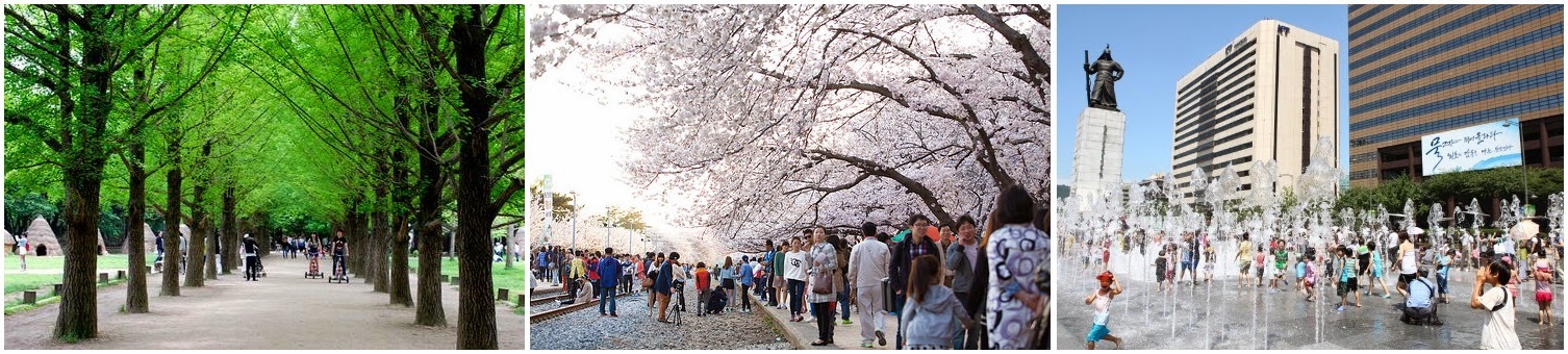 Du Lịch Hàn Quốc ngày 5:  Đảo Nami, Lễ hội hoa tại Seoul, Quảng trường Guanghwamun