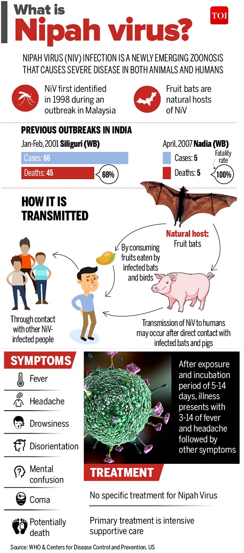 Nipah Virus : All You Need to Know About