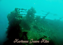 diving indonoor wreck karimun jawa