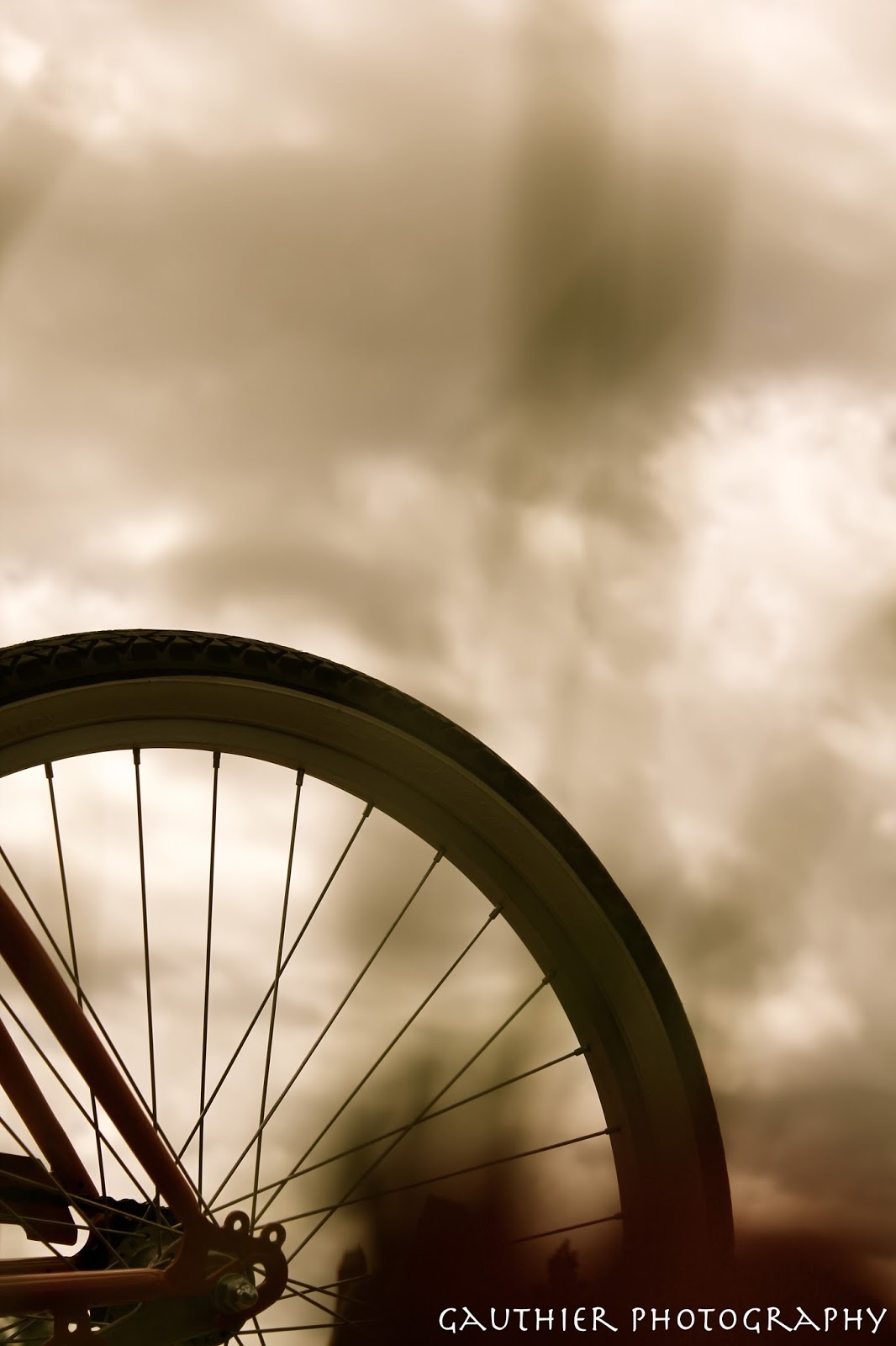 bike ms valero ride to the river 2020