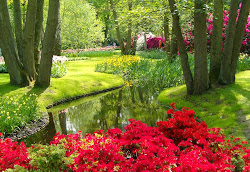 flower garden keukenhof netherlands largest gardens wallpapers desktop flowers xcitefun park banta santa amazing around worlds downloads colorful come near