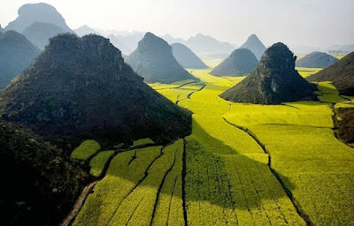 تلال الشيكولاتة Chocolate Hills