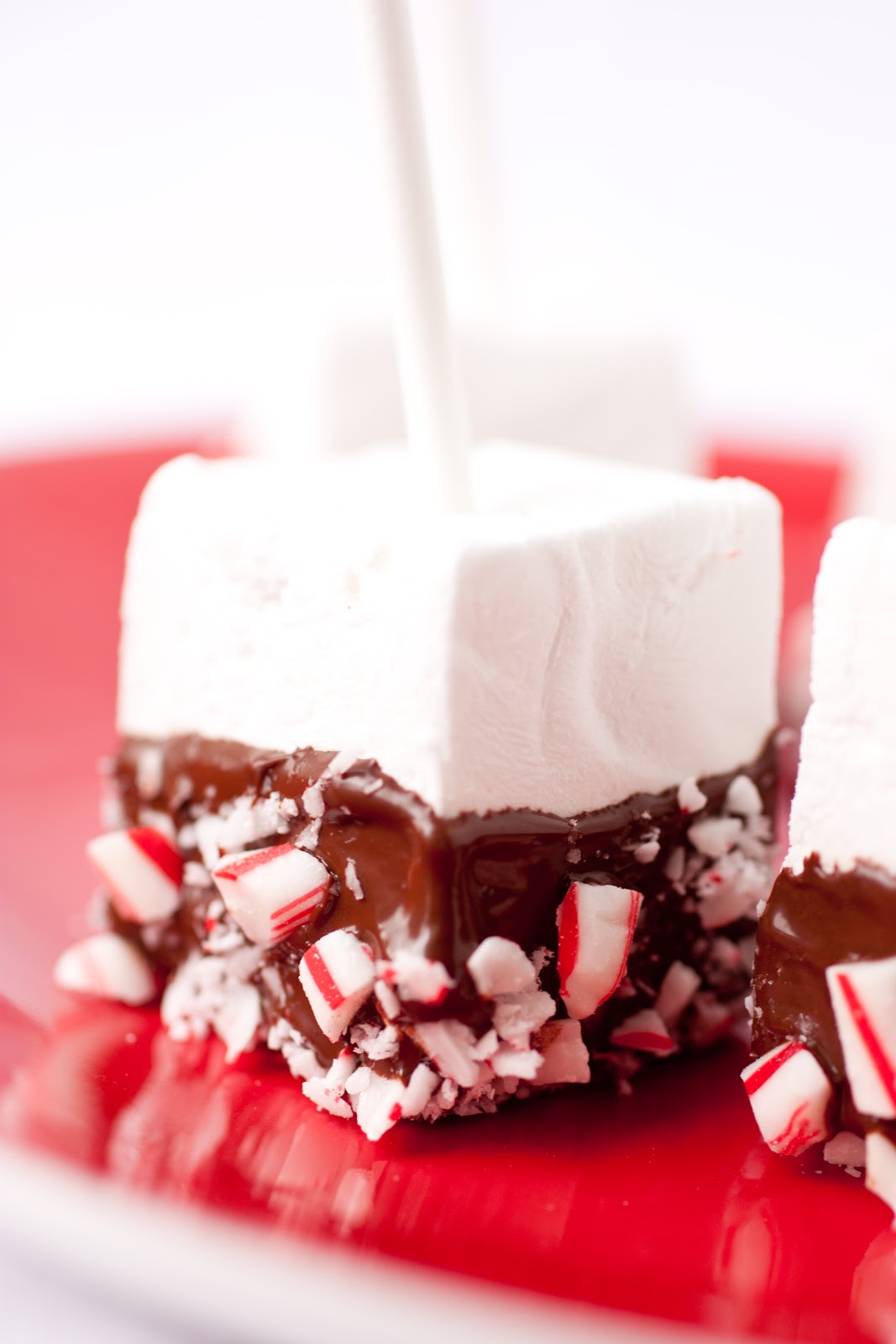 Homemade Peppermint Marshmallows - The Perfect Hot Cocoa Stirrers ...