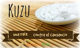 Kuzu: una raíz contra el cansancio