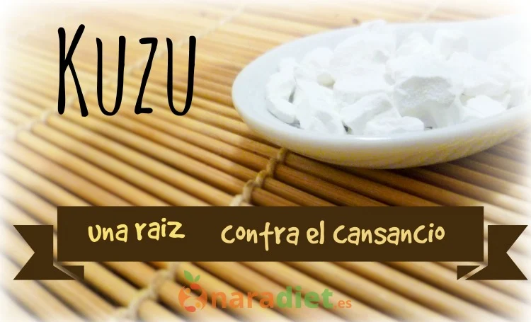 Kuzu: una raíz contra el cansancio