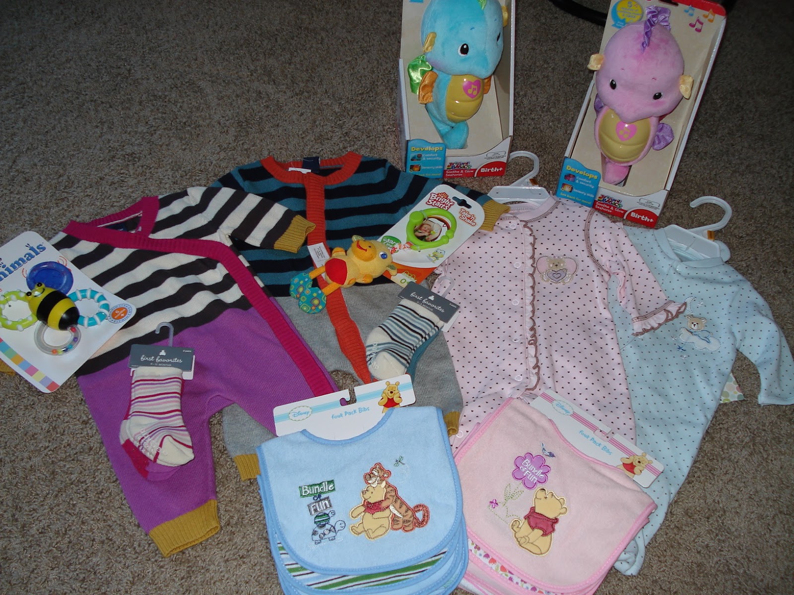 The Long Way Around: Twin/Gender Reveal Party