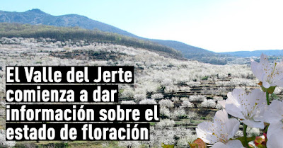 Fechas cerezo en flor 2017 Valle del Jerte