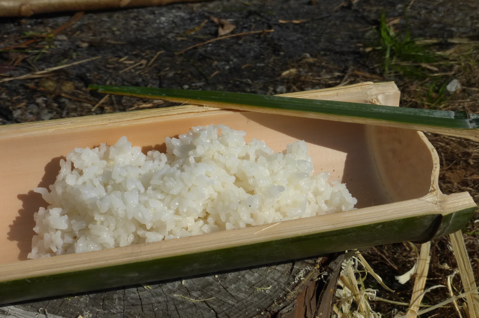 竹でご飯を炊く（竹筒ご飯）方法。米だけで夢中で食べてしまう美味しさ珍妙雑記帖