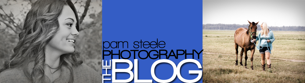 Pam Steele Photography