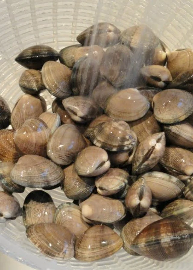 Rinse Clams to make Clams with Linguine in white wine butter sauce recipe from Serena Bakes Simply From Scratch.