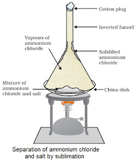 case study of chapter 2 science class 9