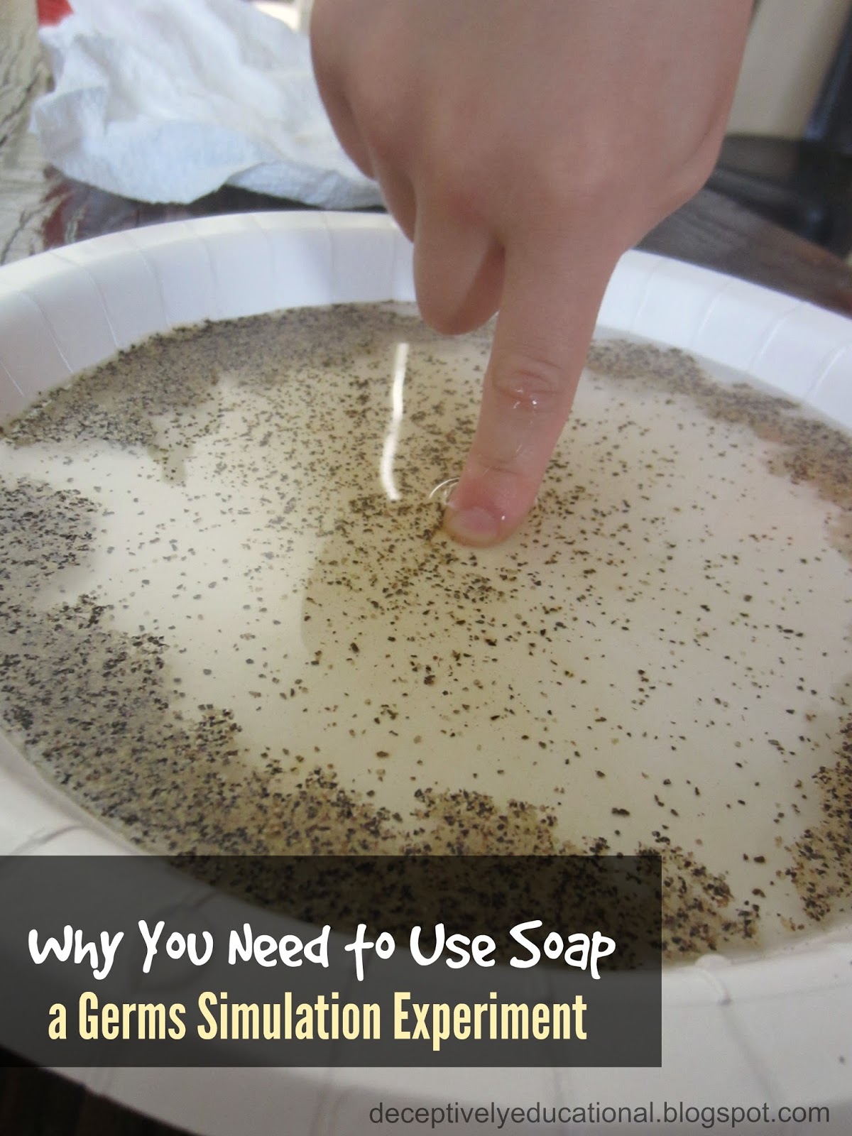 Relentlessly Fun, Deceptively Educational Why You Need to Use Soap (a