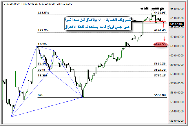 ���� ������ �������� ����� ����� ������ �������� �������