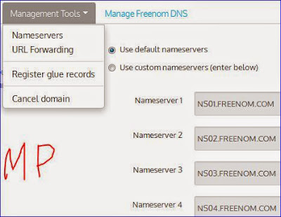 cara setting custom domain dari freenom