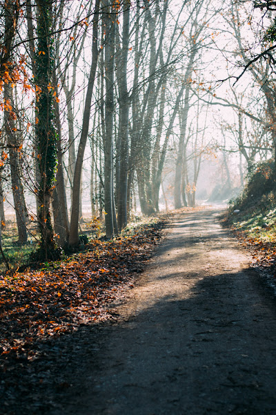 Cartel Madera Merry Christmas DIY con Gocco