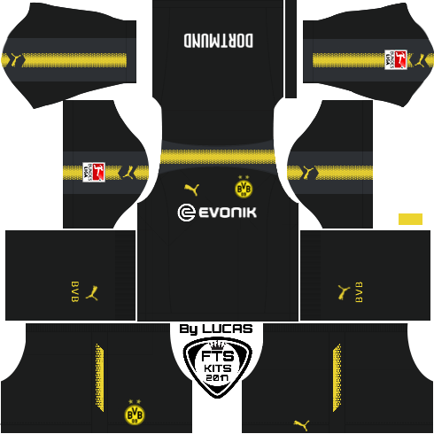 dls fts kits