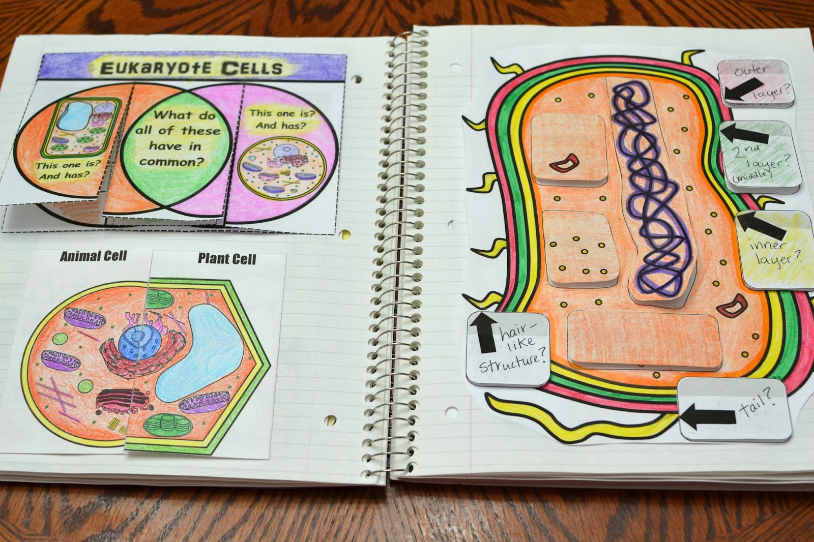 Math in Demand: Science Interactive Notebook - Cells