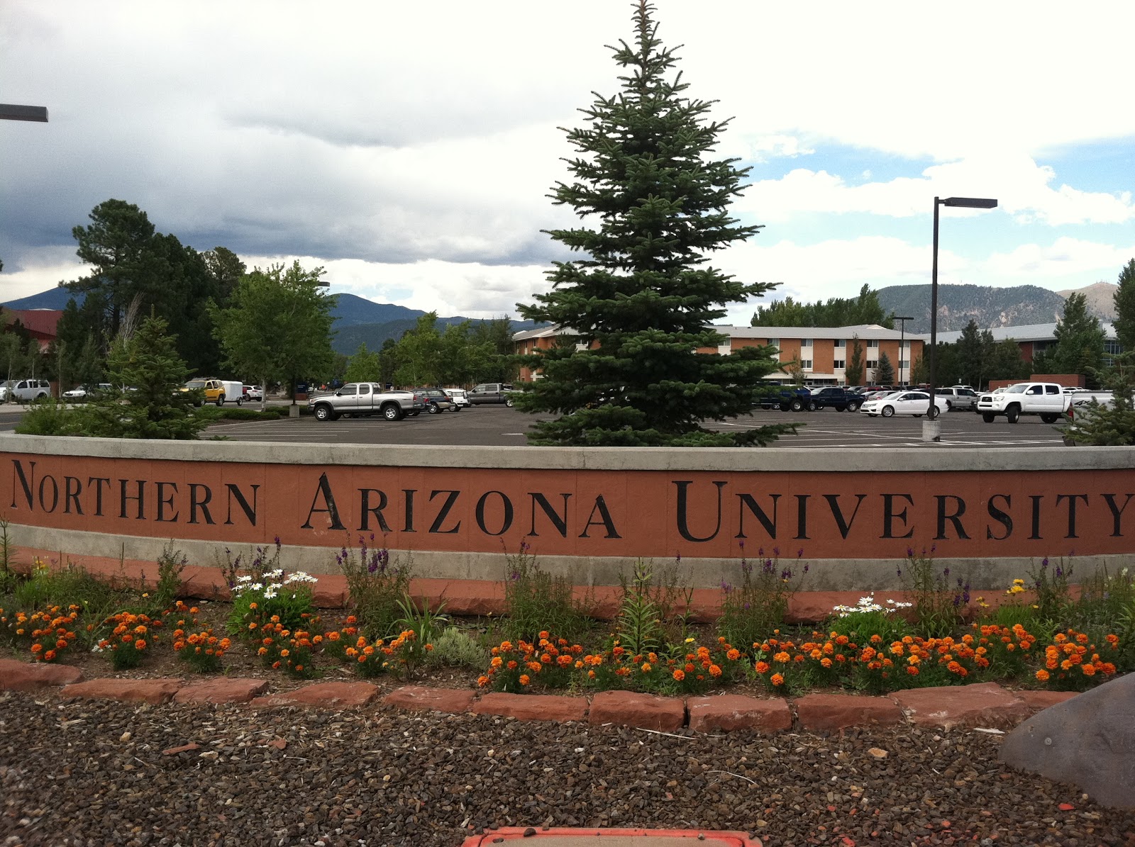 Laura's Miscellaneous Musings A Trip to Northern Arizona University