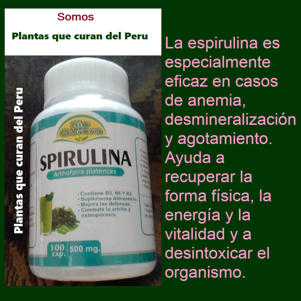 Plantas que curan del PERU SPIRULINA Combate anemia y diabetes