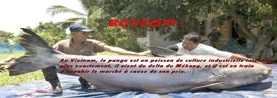 Pasvu et son blog: La panga: Poisson 