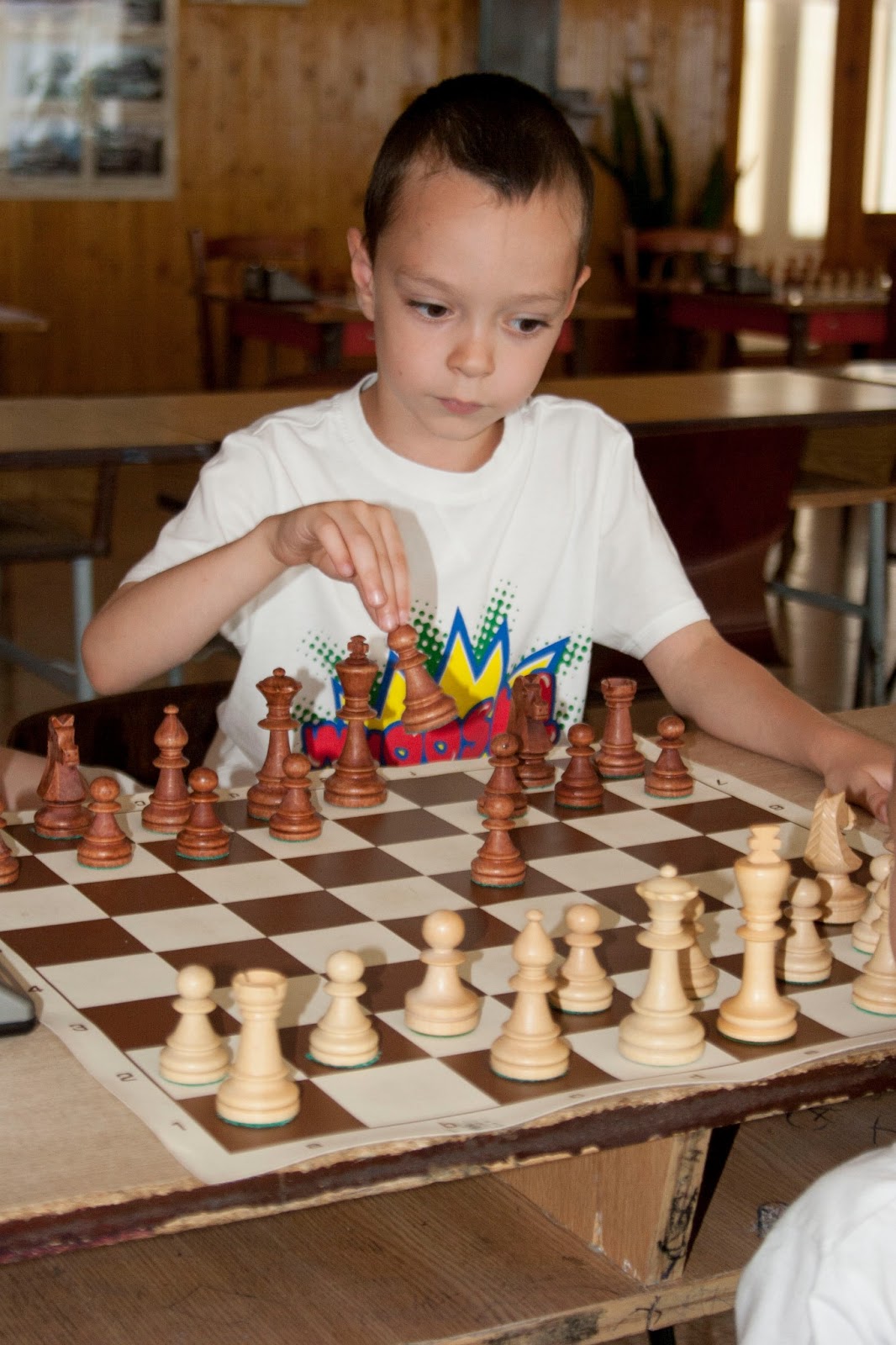 sakk tehetség sakk támogatás, sakk szponzorálás