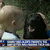ΑΠΙΣΤΕΥΤΗ ΙΣΤΟΡΙΑ: Σκύλος, φύλακας- άγγελος, ειδοποίησε τους γονείς ότι η μπέιμπι σίτερ κακοποιούσε το μωρό