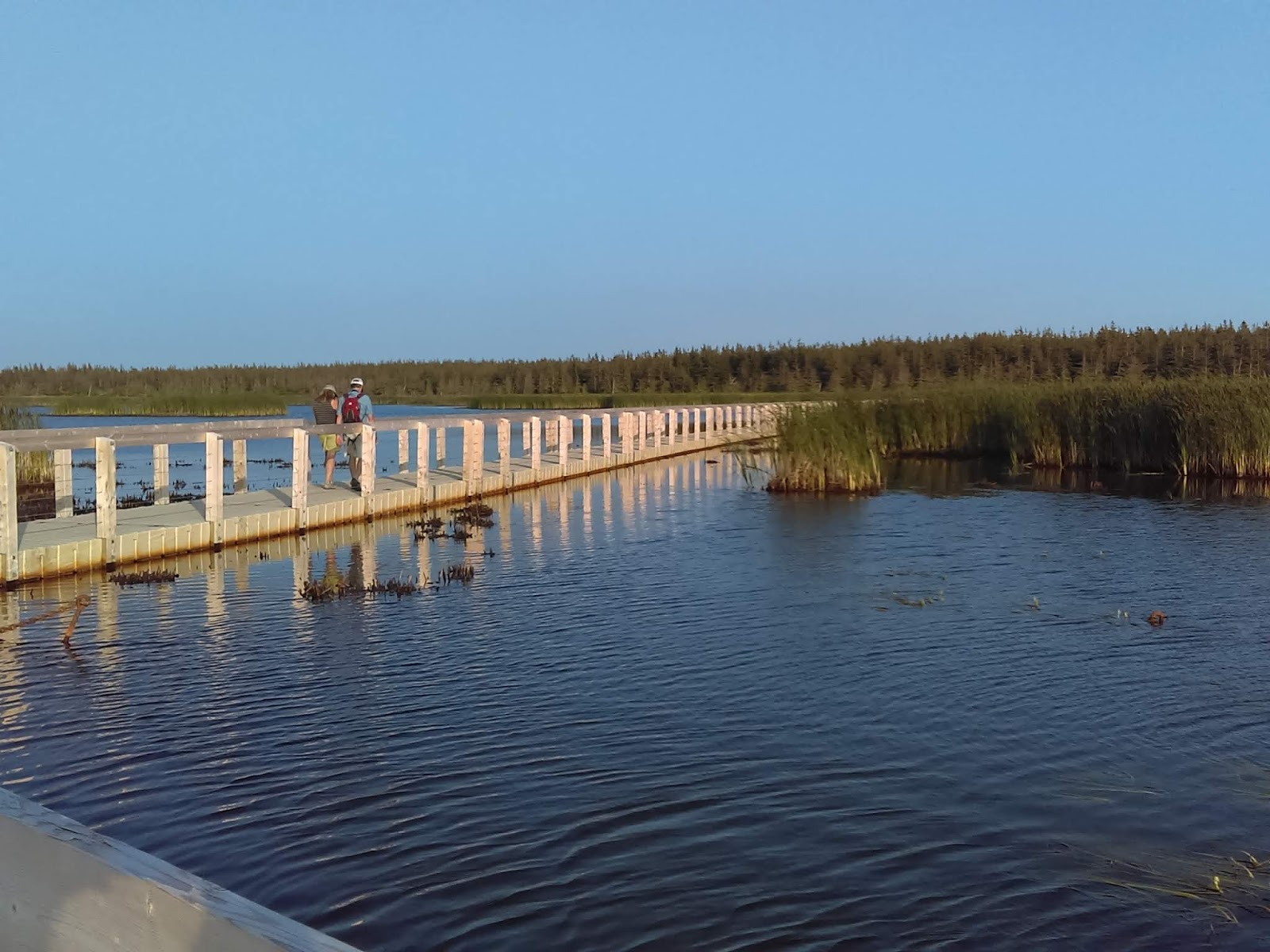 Doreen and Laura's Excellent Adventure Prince Edward Island St