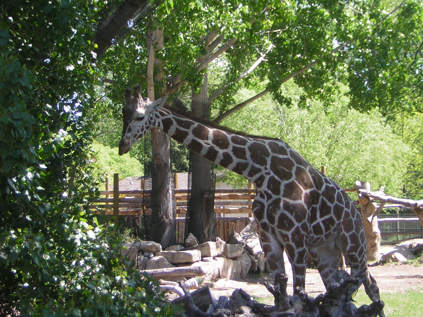 Edwards Family Zoo Boise