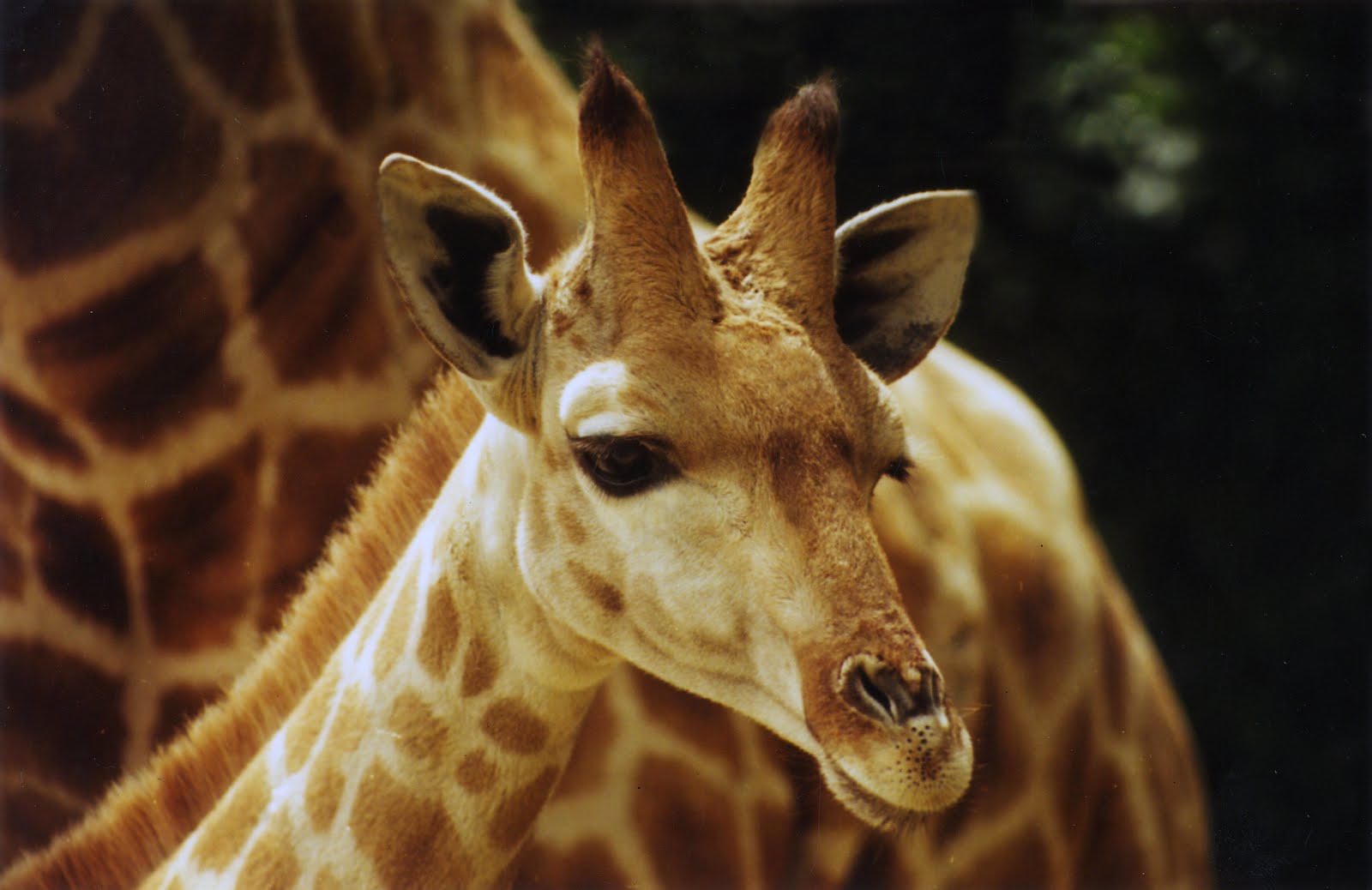 'Blog sur le Portugal to Discover Portugal'