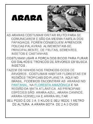 Texto informativo sobre animais