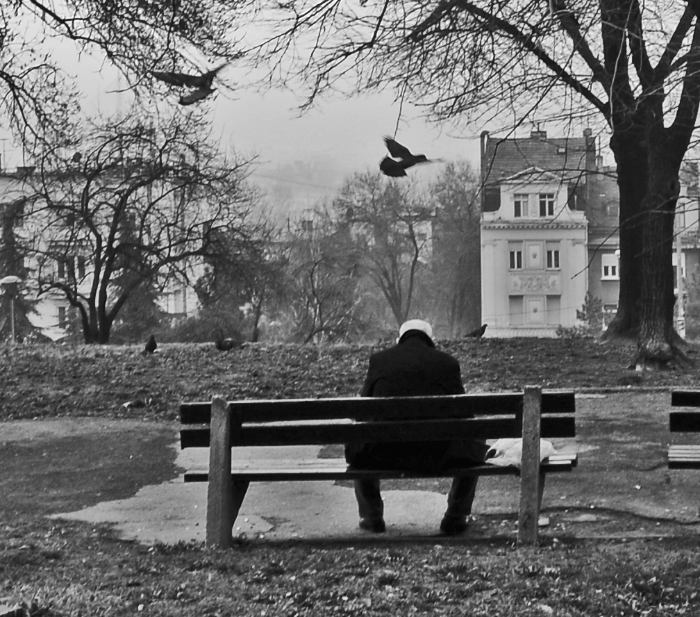 A Yankee in Belgrade 02 16 16