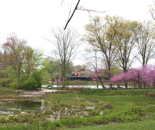 Spring hues at The Morton Arboretum