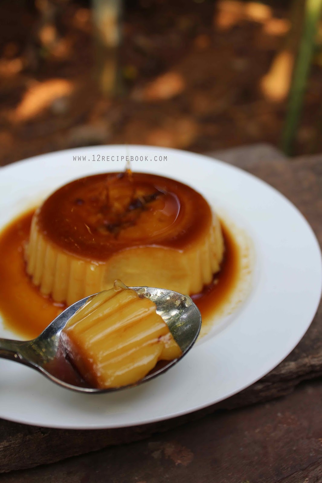 Condensed Milk Flan Recipe Book