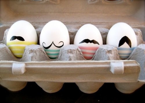 de onde vem os ovos