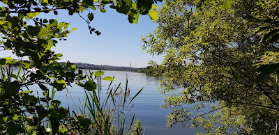 sheffield park, jezioro w sheffield