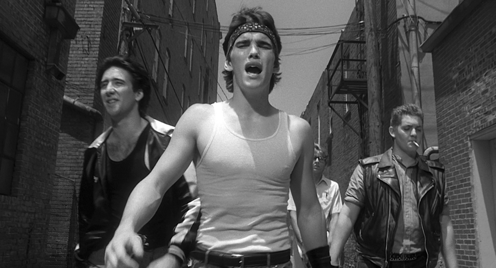 FAVORITE MOVIES / RUMBLE FISH (1983)