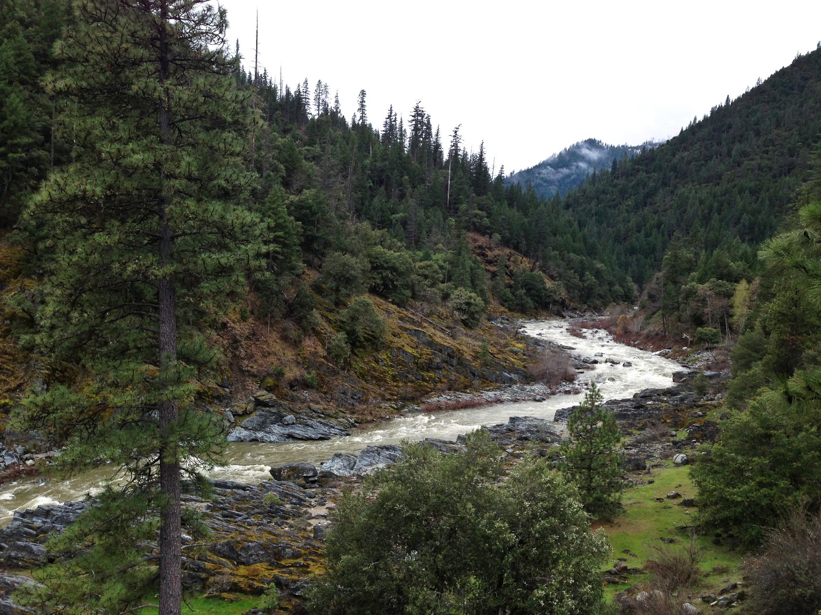 The Word Made Hole Scott River and Quartz Valley Red Angus Ranch with Mom!