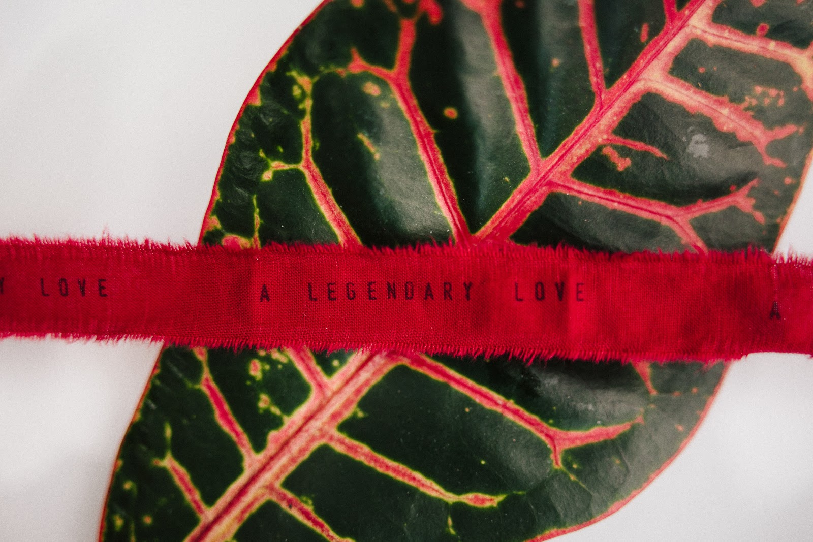 ️ Love conquers all romeo and juliet. The Five Major Themes of Romeo