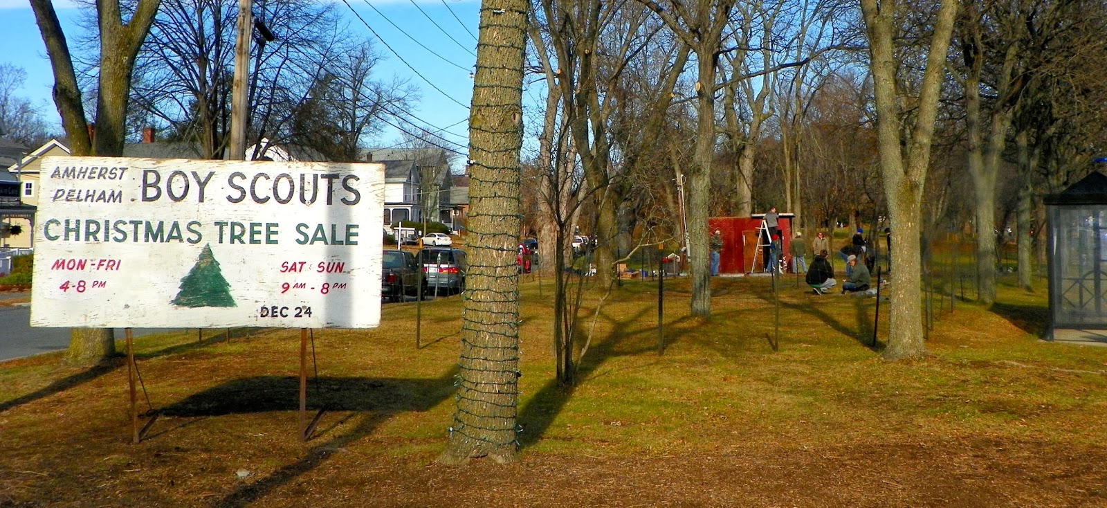 Only in The Republic of Amherst How The Grinch Stole A Christmas Tree