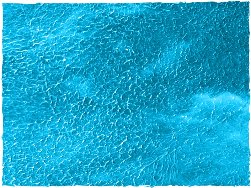 cianty's Tabletop Wargames Blog Ocean and Cobblestone Gaming Mat from