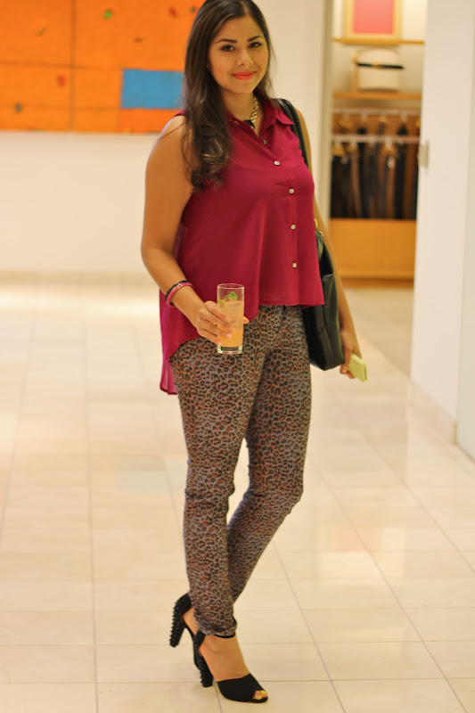 Berry and Leopard for FNO
