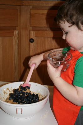 Montessori BFIAR activities Blueberries for Sal