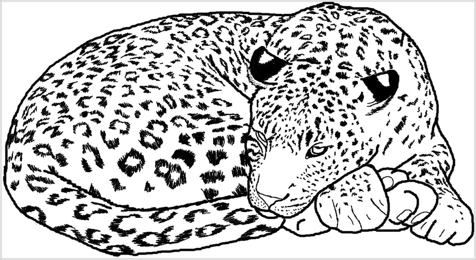Coloring Pages For Kids Zoo Animal Coloring Pages Animal Coloring Books