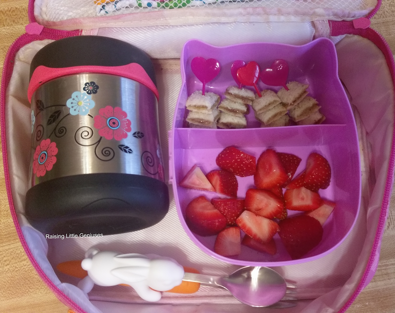 Raising Little Geniuses Mac n Cheese & Sandwich Bites School Lunch