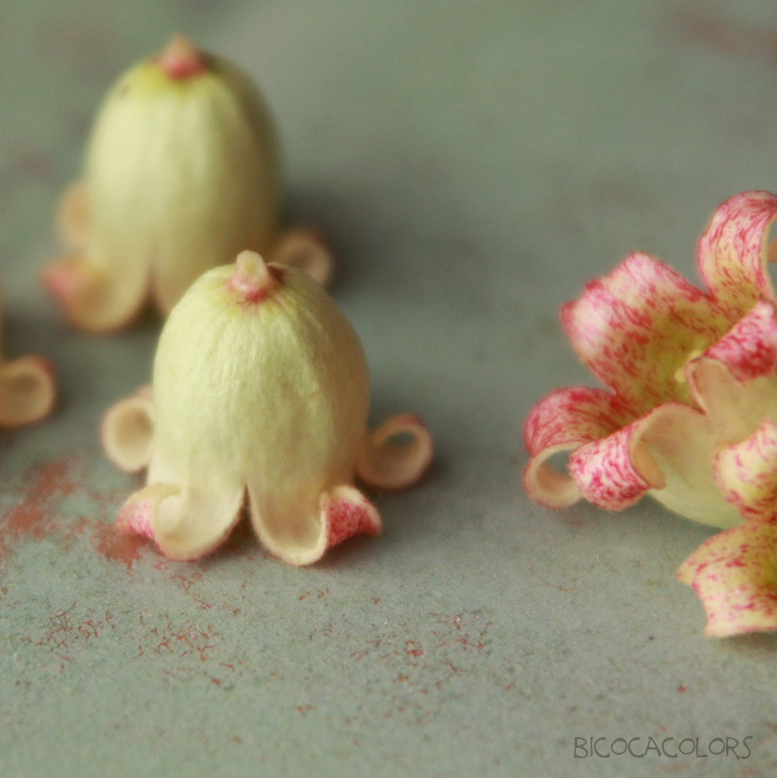 bicocacolors campanillas