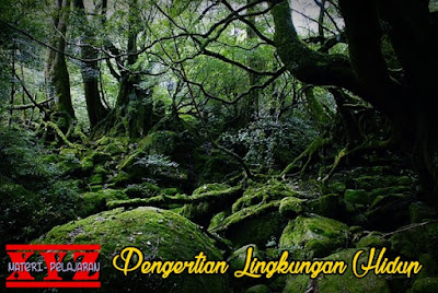 Pengertian Lingkungan Hidup + Fungsi Pokok | http://www.materi-pelajaran.xyz Lingkungan Hidup, Pengertian Lingkungan Hidup, Fungsi Pokok Lingkungan Hidup.